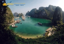 Những trải nghiệm không nên bỏ lỡ khi khám phá các đảo nổi tiếng của Việt Nam