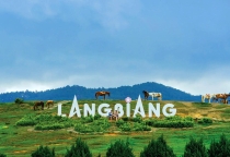 ĐÀ LẠT – THIÊN ĐƯỜNG SĂN MÂY (3N3Đ)