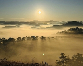 🤔 Bạn đã bao giờ chỉ vì một chiếc vlog về Đà Lạt mà lòng mình bỗng mềm lại?