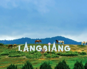 ĐÀ LẠT – THIÊN ĐƯỜNG SĂN MÂY (3N3Đ)