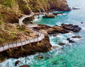 HÀ NỘI - QUY NHƠN – PHÚ YÊN  XỨ SỞ HOA VÀNG CỎ XANH